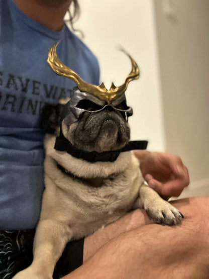 Shao Kahn mask for Pugs, Boston Terriers and French Bulldog